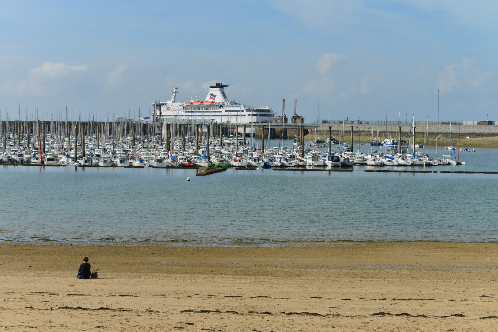 David versus goliath scenario