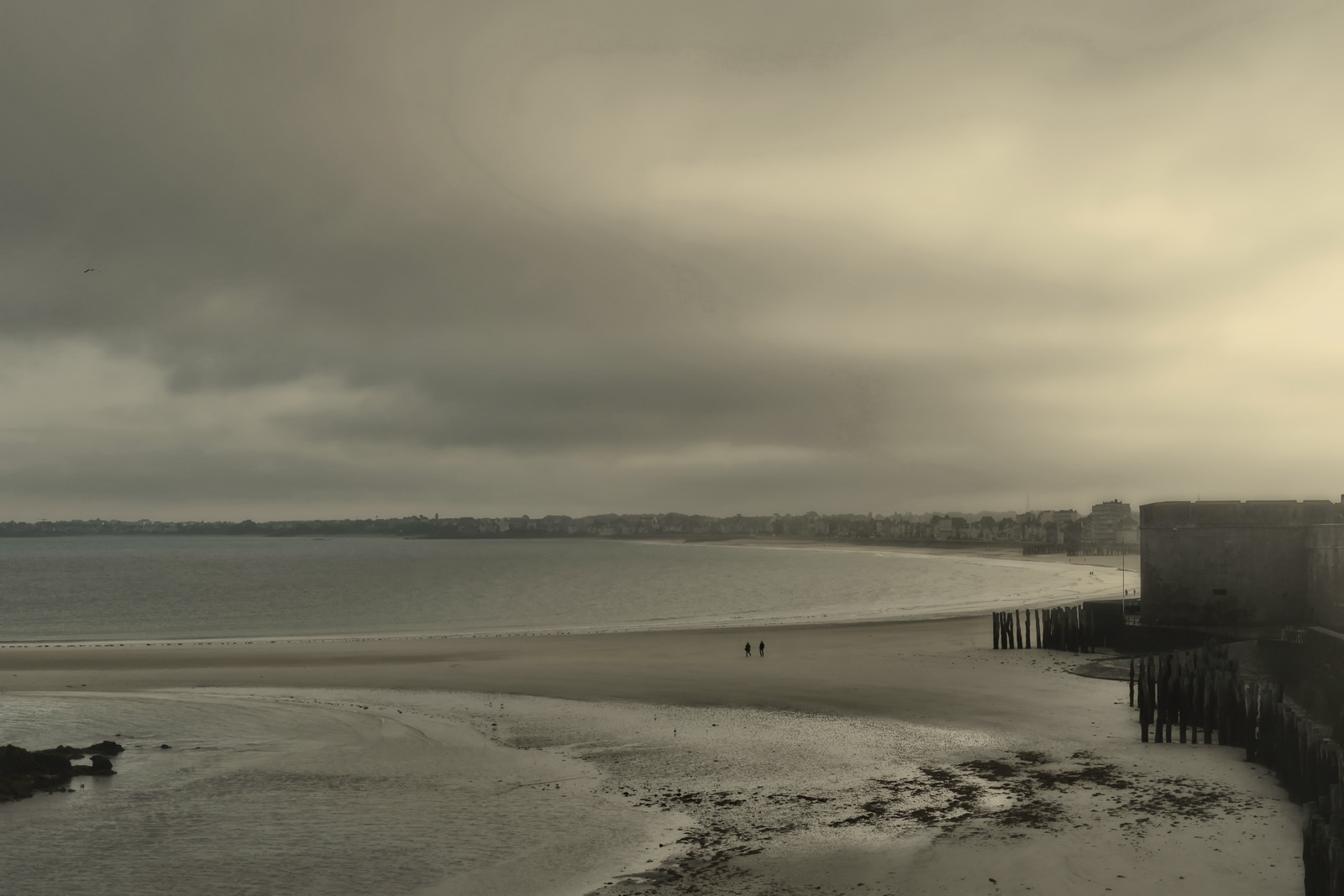 Humans insignificance 2017