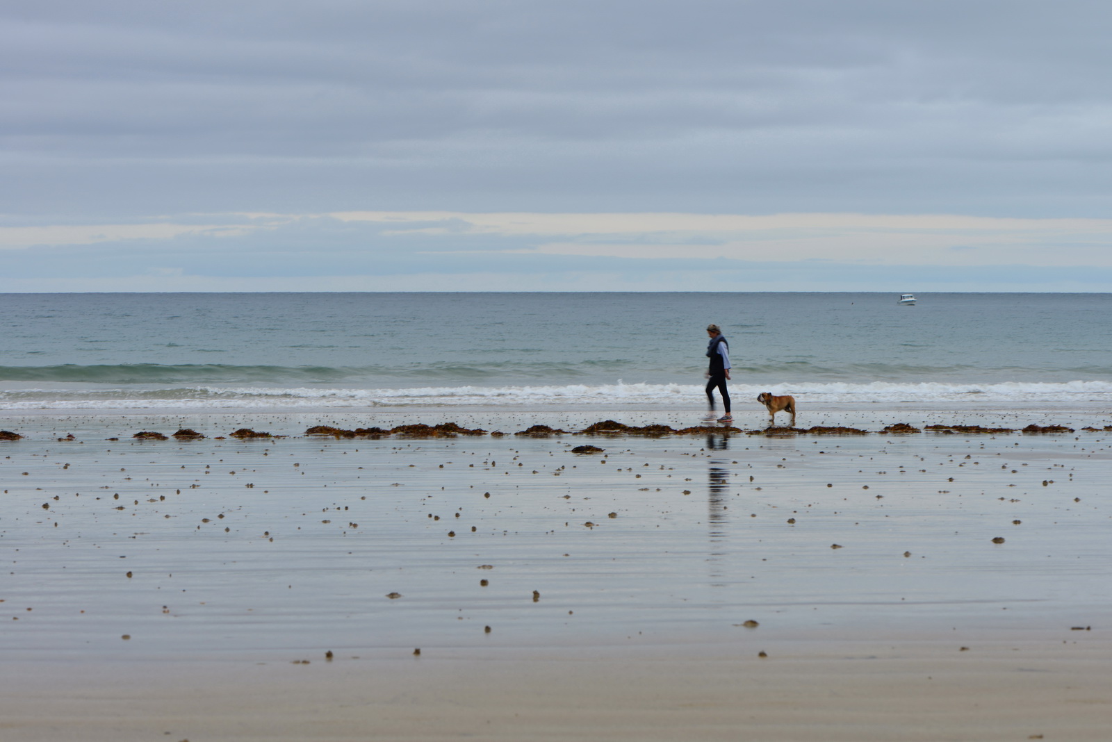 Walking the dog on the beach 2017