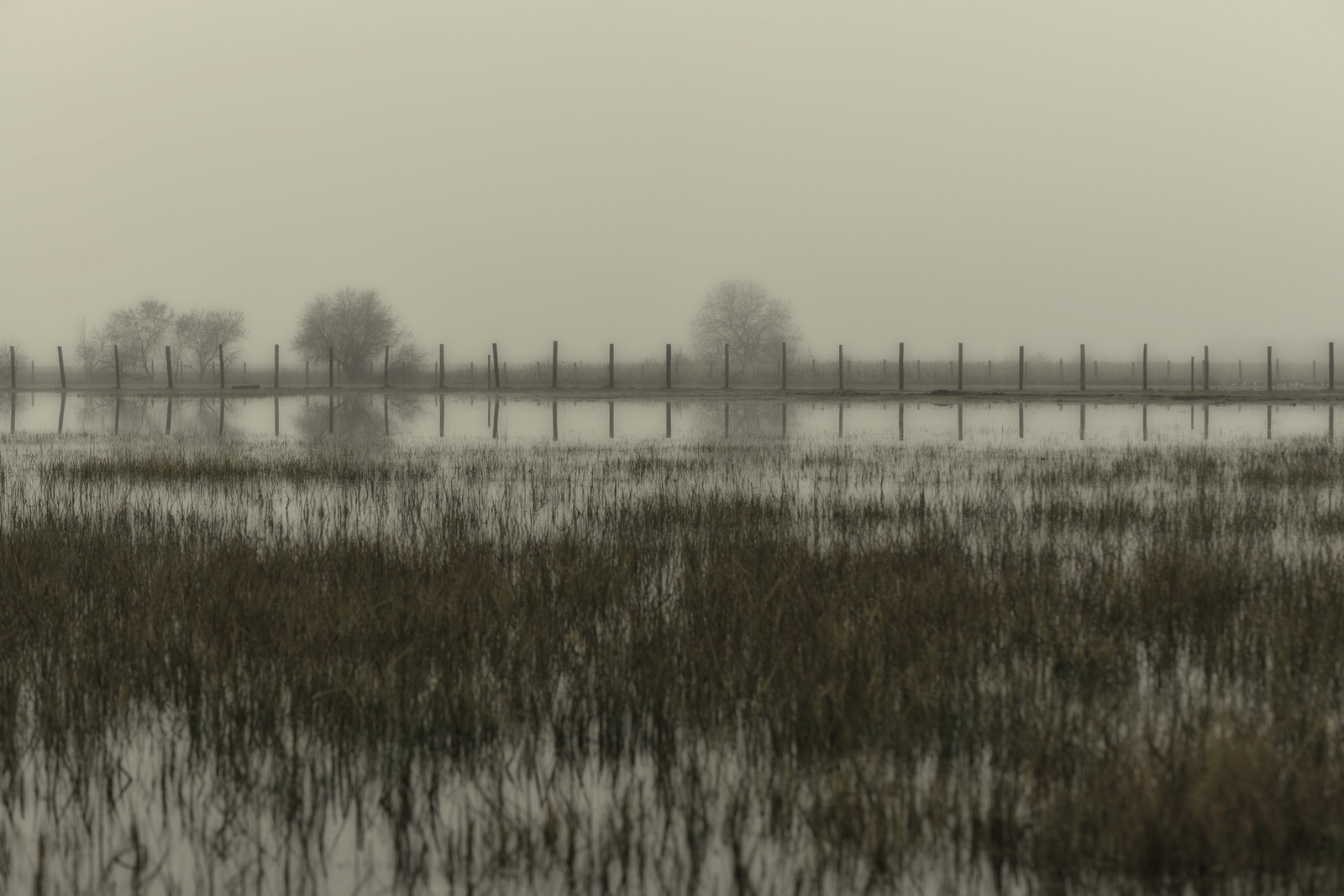 Dornröschenschlaf.seewinkel 2014