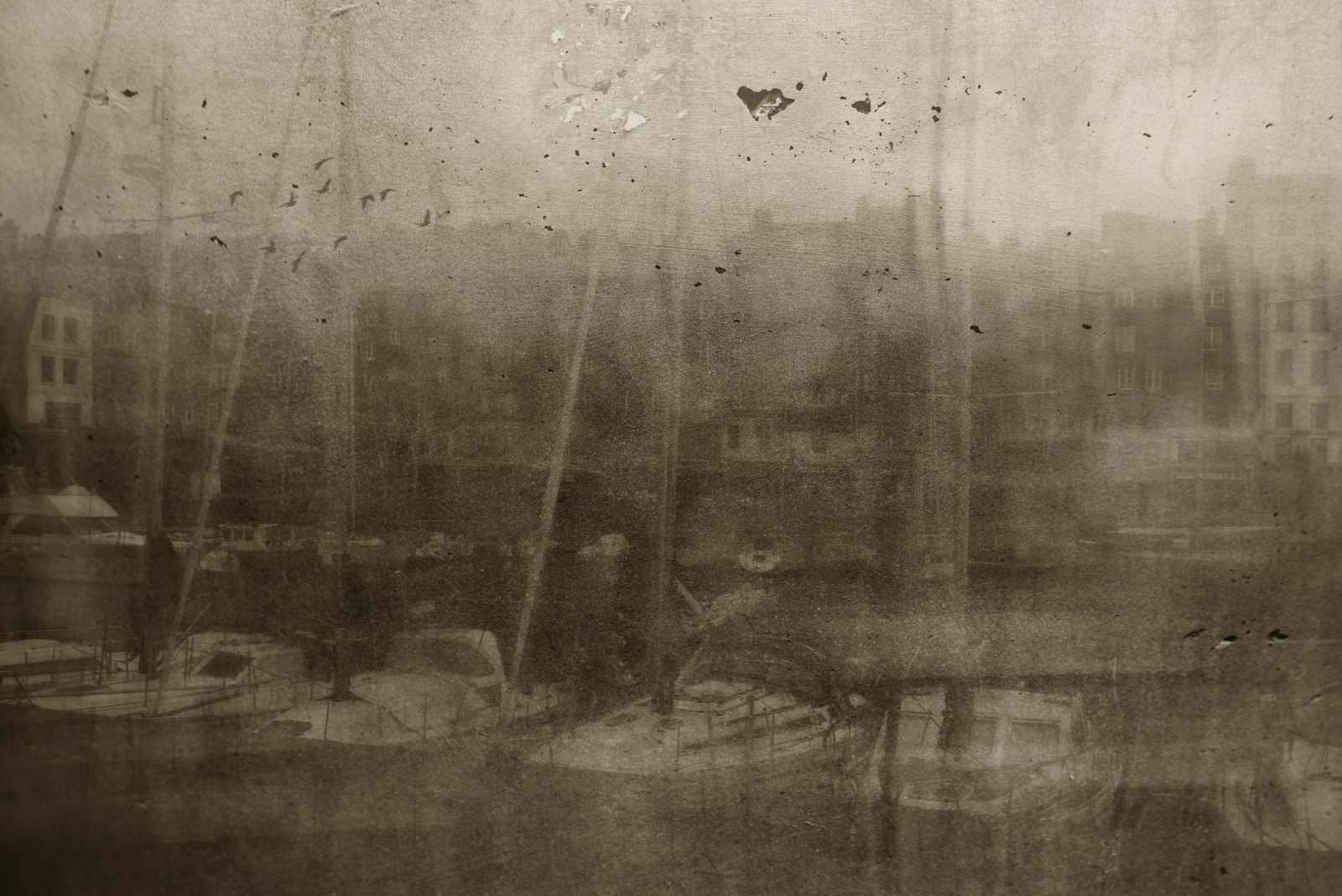 Matin.brumeux.et.mélancolique 2018